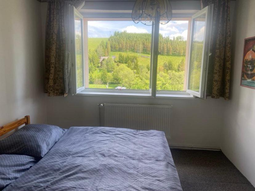 Apartman Orlicke Hory Orlicke Zahori Exterior foto